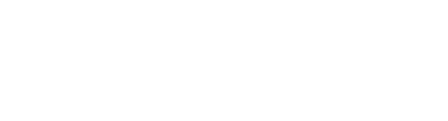 BRIDEV